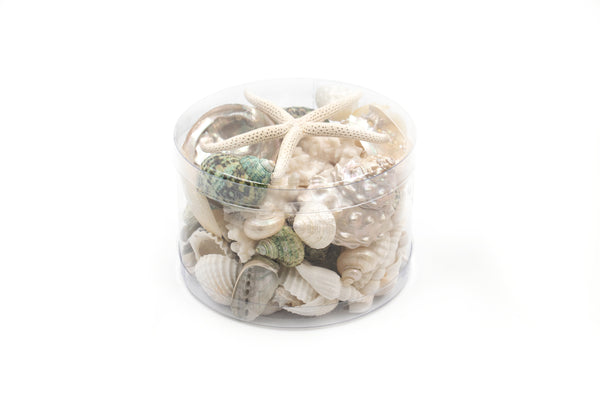 Premium Coral and Seashell Pack - Green Jade